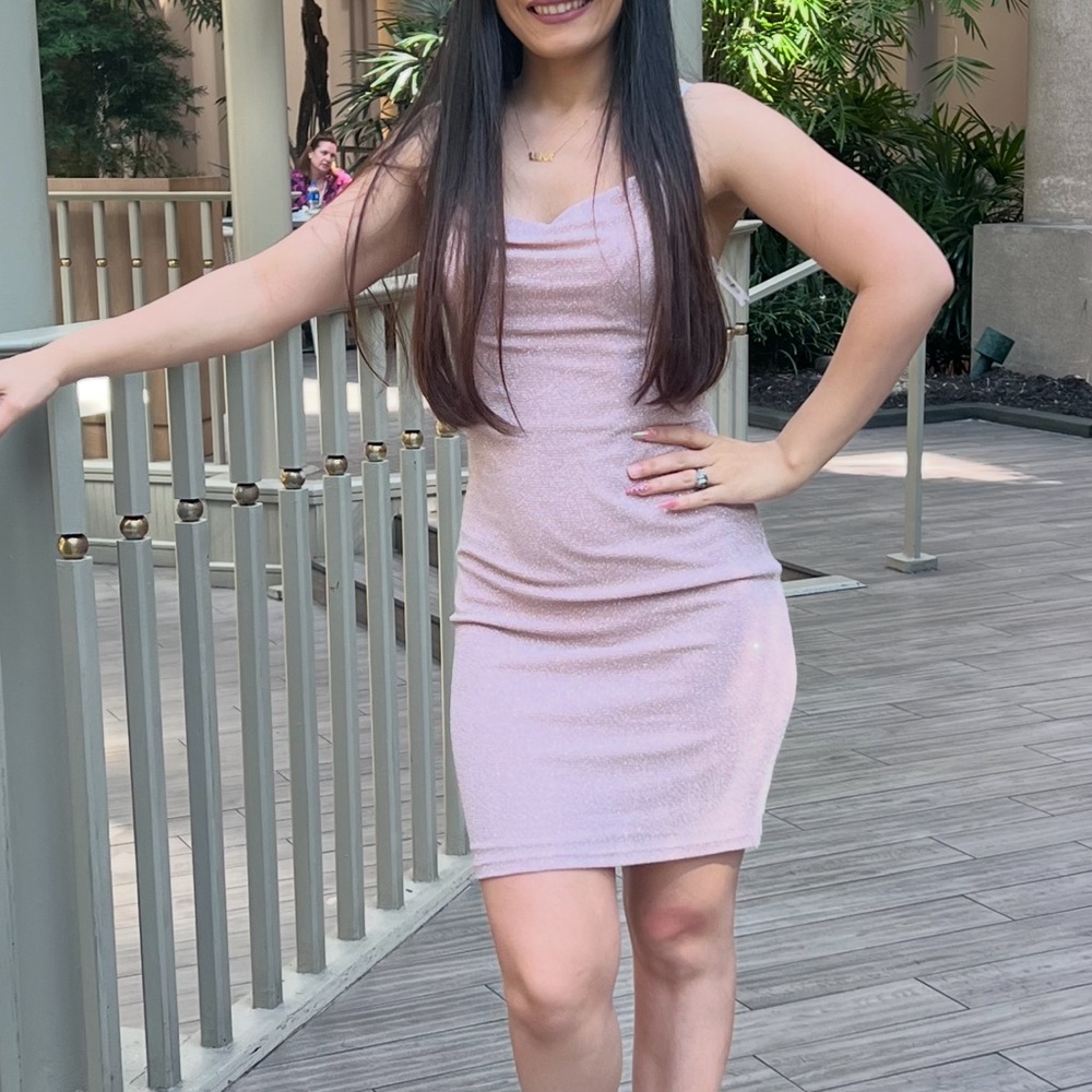 David's Bridal Light Pink Mini Skirt